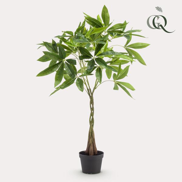Kunstplant Pachira Aquatica - Geldboom - ↕90cm - Ø15cm