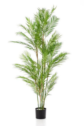 Kunstplant Chamaedorea Elegans - Bergpalm - ↕180cm - Ø14cm