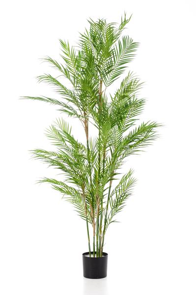 Kunstplant Chamaedorea Elegans - Bergpalm - ↕180cm - Ø14cm