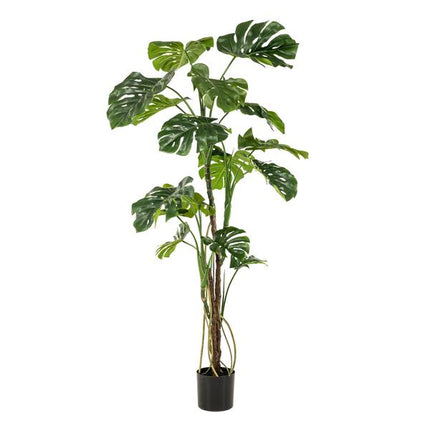 Kunstplant Monstera - Gatenplant - ↕180cm - Ø17cm