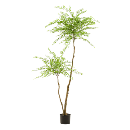 Kunstplant Sophora tree  - Honingboom - 190cm
