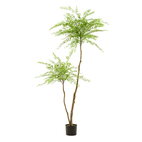 Kunstplant Honingboom - Sophora tree - ↕190cm