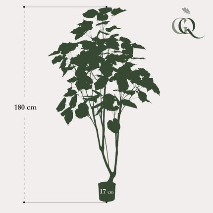 Kunstplant Ficus umbellate - Afrikaanse vijg - ↕180cm - Ø17cm