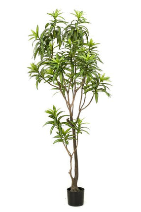 Kunstplant Dracaena - Drakenboom - ↕190cm - Ø17cm