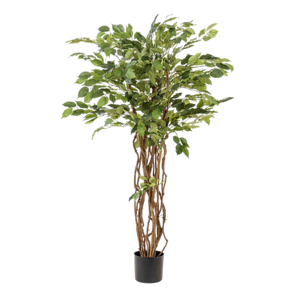 Kunstplant Ficus liana - Vioolbladplant - ↕140cm