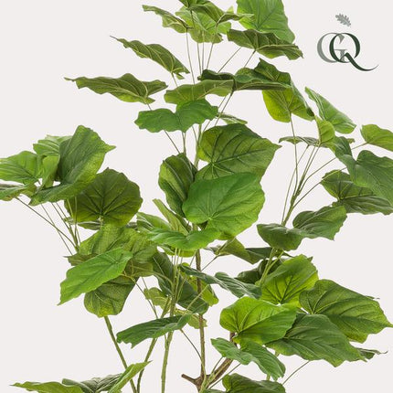 Kunstplant Ficus umbellate - Afrikaanse vijg - ↕125cm