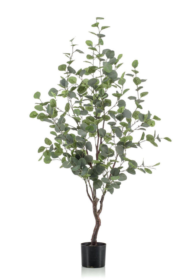 Kunstplant Eucalyptus - Blauwe Gomboom - ↕120cm - Ø14cm