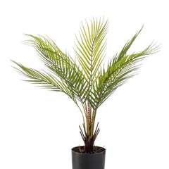 kunstplant-chamaedorea-bergpalm-50-cm