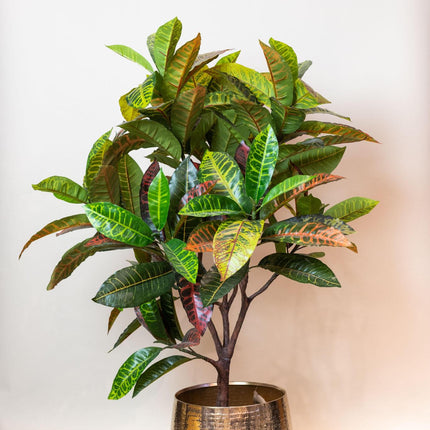 kunstplant-croton-codiaeum-wonderstruik-120-cm