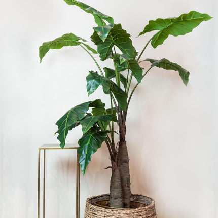 kunstplant-alocasia-olifantsoor-180-cm