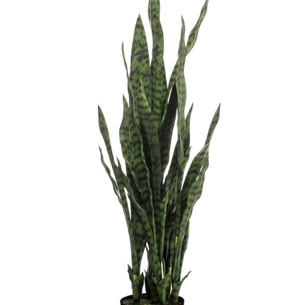 kunstplant-sanseveria-black-coral-vrouwentong-97-cm