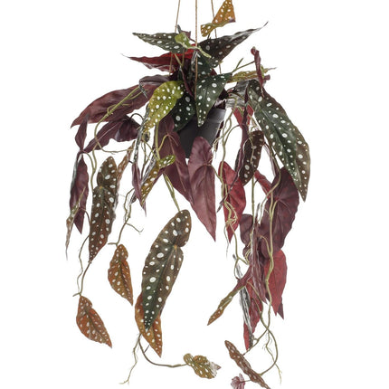 kunstplant-begonia-maculata-stippenbegonia-80-cm