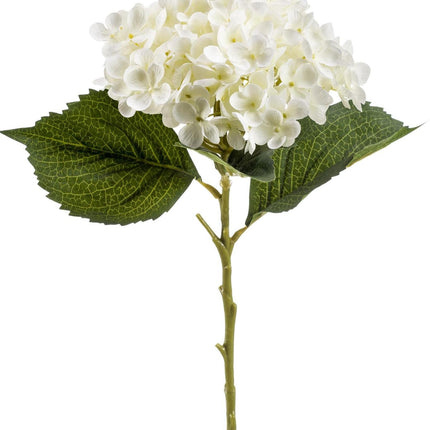 Kunstbloemen Solo - White - Hydrangea Flower - 8x - ↕52cm