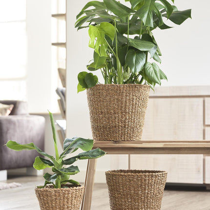 Plantenmand -  Lichtbruin - Jip naturel - M - W26xH23