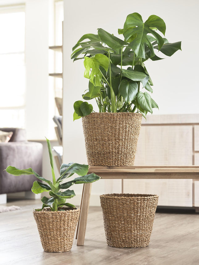 Plantenmand -  Lichtbruin - Jip naturel - M - W26xH23