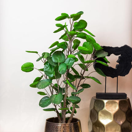kunstplant-polyscias-aralia-105-cm