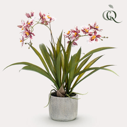 Kunstplant Orchidee - Bordeaux - ↕45cm - Ø16cm