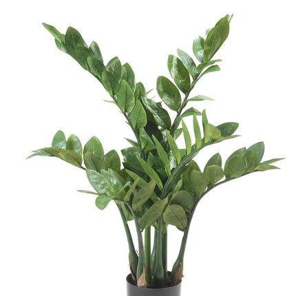 kunstplant-zamioculcas-kamerpalm-70-cm