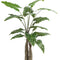 kunstplant-alocasia-olifantsoor-150-cm