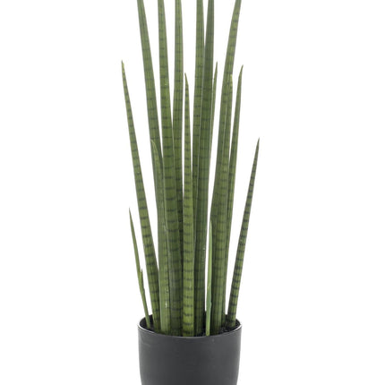 kunstplant-sanseveria-cylindrica-vrouwentong-70-cm