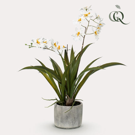 Kunstplant Orchidee - Wit - ↕45cm - Ø16cm
