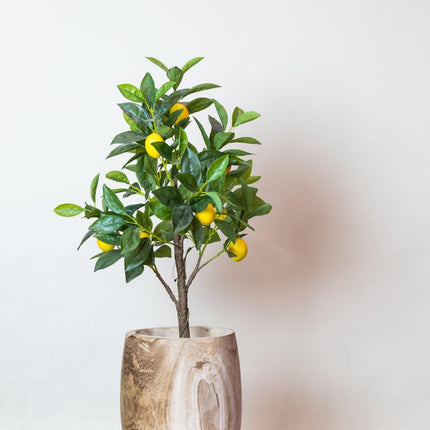 kunstplant-citrus-limonia-citroenboom-75-cm