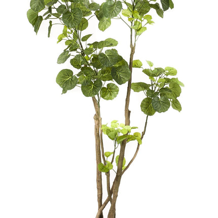 kunstplant-polyscias-aralia-140-cm