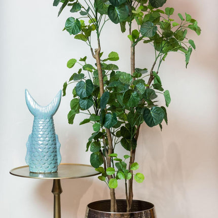 kunstplant-polyscias-aralia-160-cm