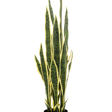 kunstplant-sanseveria-trifasciata-vrouwentong-97-cm