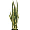 kunstplant-sanseveria-trifasciata-vrouwentong-97-cm