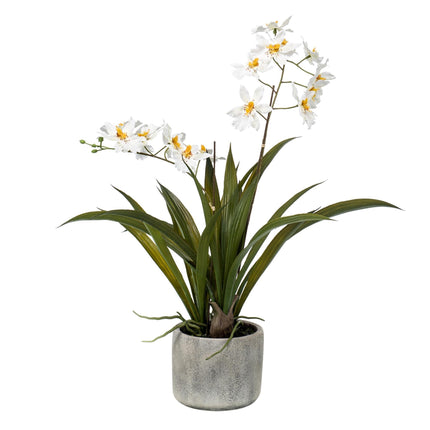 Kunstplant Orchidee - Wit - ↕45cm - Ø16cm