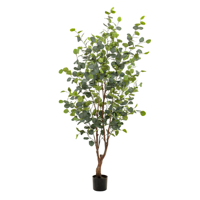 Kunstplant Eucalyptus - Blauwe Gomboom  - ↕140cm - Ø15cm