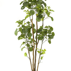 kunstplant-polyscias-aralia-160-cm