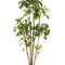 kunstplant-polyscias-aralia-160-cm