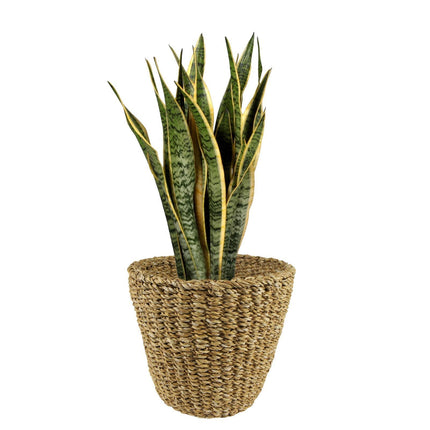 Plantenmand -  Lichtbruin - Jip naturel - M - W26xH23