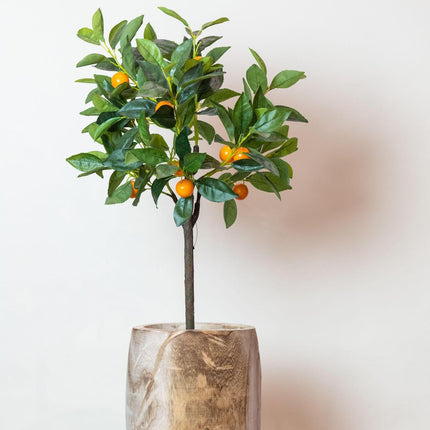 kunstplant-citrus-sinensis-sinaasappelboom-75-cm