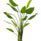 kunstplant-strelitzia-nicolai-paradijsvogelbloem-180-cm