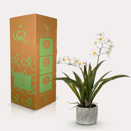 Kunstplant Orchidee - Wit - ↕45cm - Ø16cm