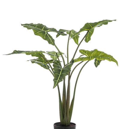 kunstplant-alocasia-frydek-olifantsoor-100-cm