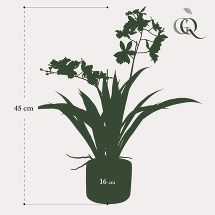 Kunstplant Orchidee - Wit - ↕45cm - Ø16cm