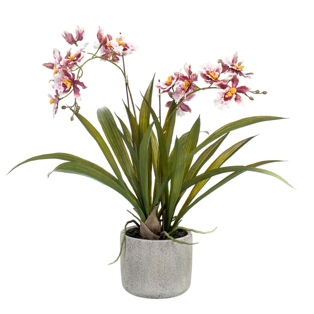 Kunstplant Orchidee - Bordeaux - ↕45cm - Ø16cm
