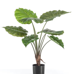 kunstplant-alocasia-olifantsoor-70-cm