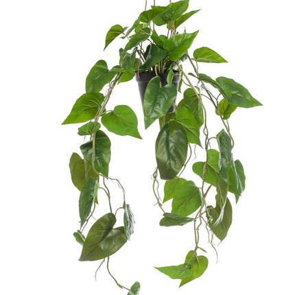 kunstplant-philodendron-scandens-klimmende-boomliefhebber-80-cm