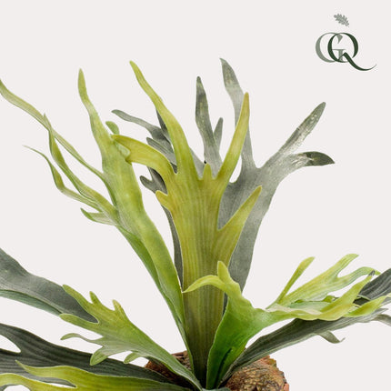 kunstplant-staghorn-fern-hertshoorn-50-cm