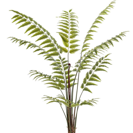 kunstplant-rumohra-adiantiformis-ledervaren-180-cm