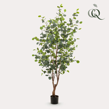 Kunstplant Eucalyptus - Blauwe Gomboom  - ↕140cm - Ø15cm