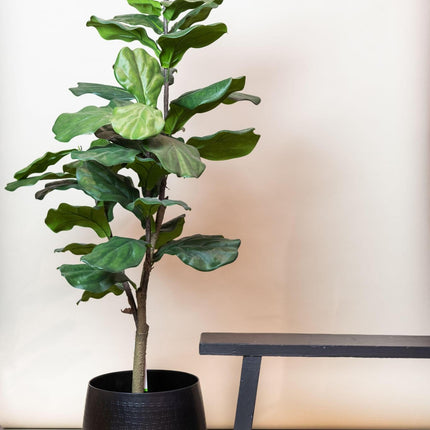 kunstplant-ficus-lyrata-tabaksplant-125-cm