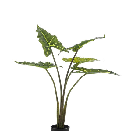 kunstplant-alocasia-frydek-olifantsoor-80-cm