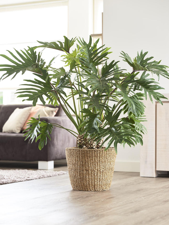 Plantenmand -  Lichtbruin - Jip naturel - XL - W37xH31