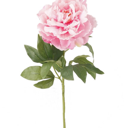 Kunstbloemen Solo - Light Pink - Peonies - 5x - ↕65cm